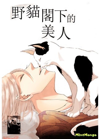 манга Любовь бездомного кота (The beautiful person of Shii, the wildcat: Utsukushi Yasei no Neko Shii) 04.11.16