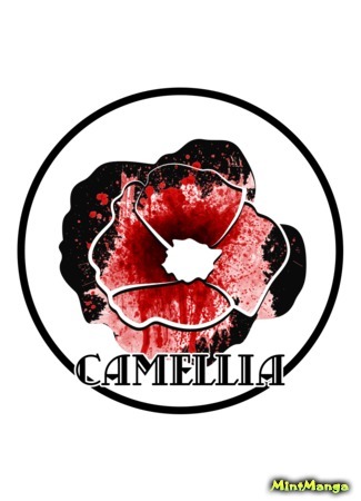 Переводчик Camellia 11.02.18