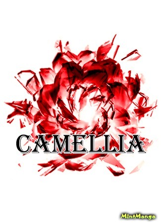Переводчик Camellia 05.02.20