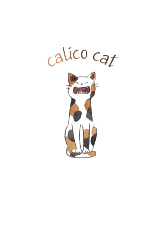 Переводчик Calico Cat 26.12.24