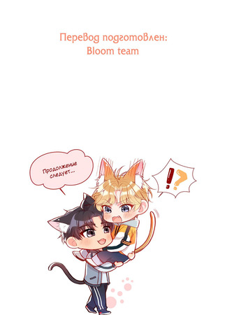 Переводчик Bloom team 06.01.25