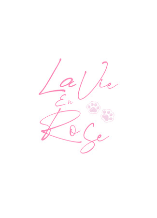 Переводчик LaVieEnRose 08.05.25