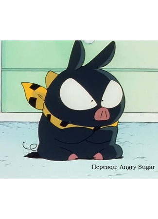 Переводчик Angry Sugar 11.05.25
